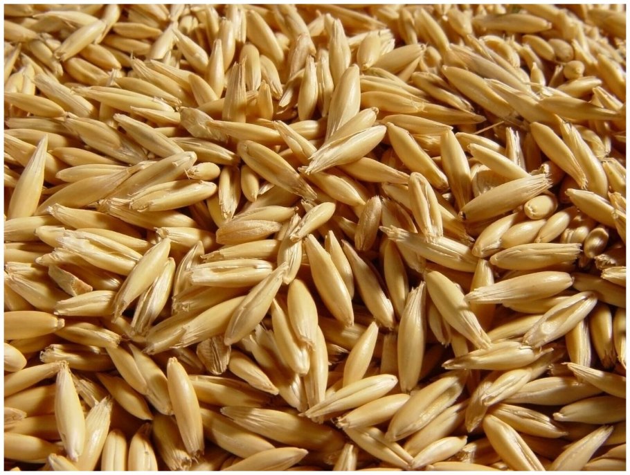 Блага мюсли для лошадей