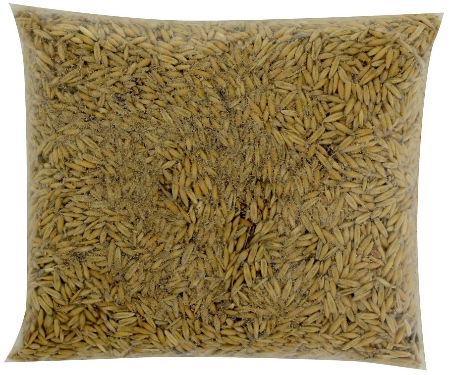 Кобыла с жеребенком