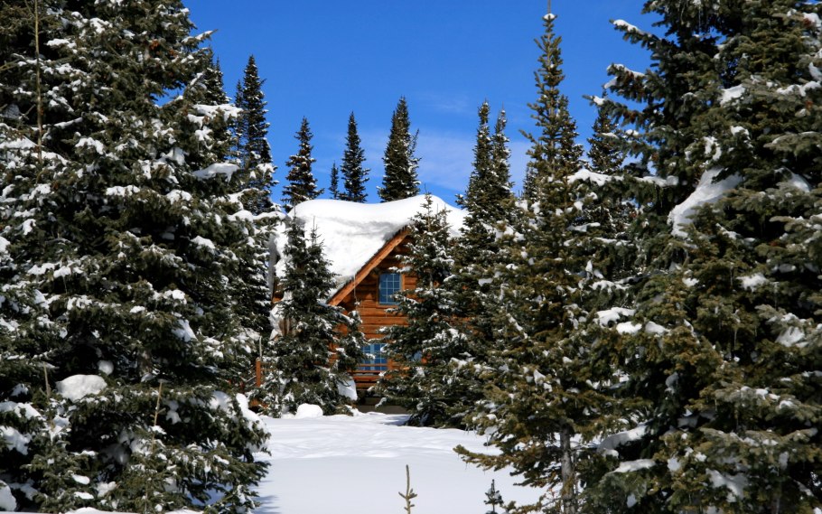 Домик в зимнем лесу