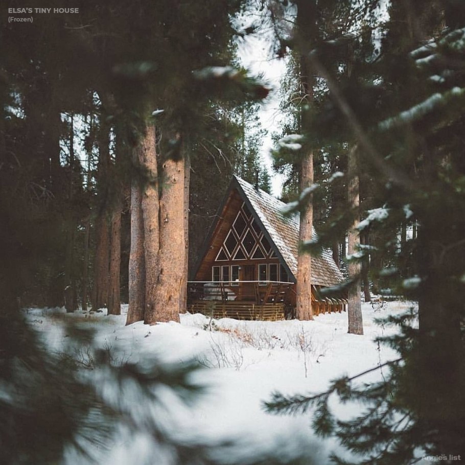 Поваленное дерево в лесу