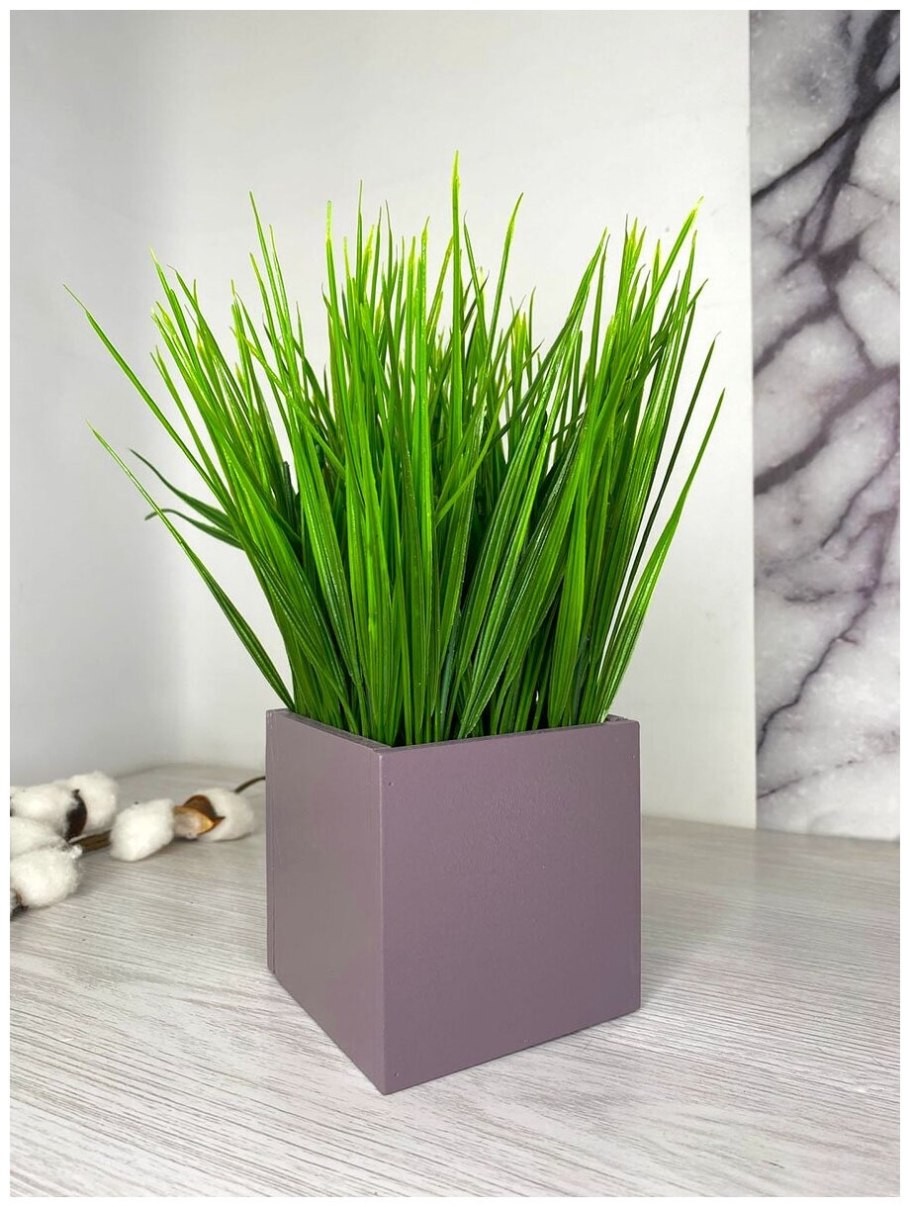 Осока растянутая (Carex Extensa на болоте