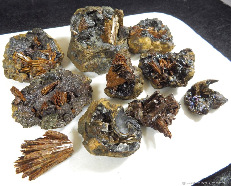 Конкреция фосфорита