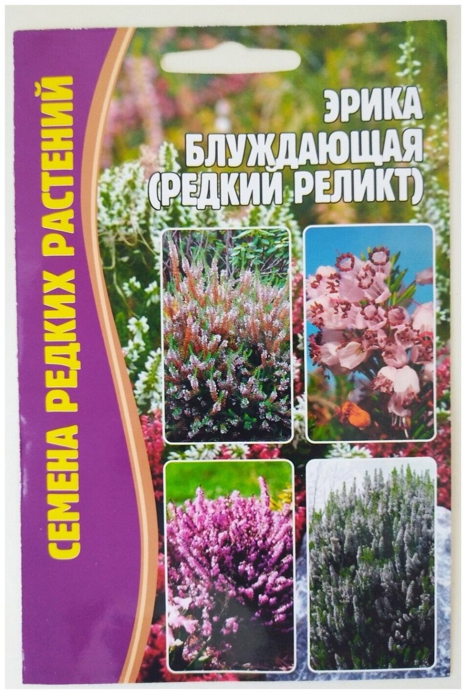 Арктический Вереск