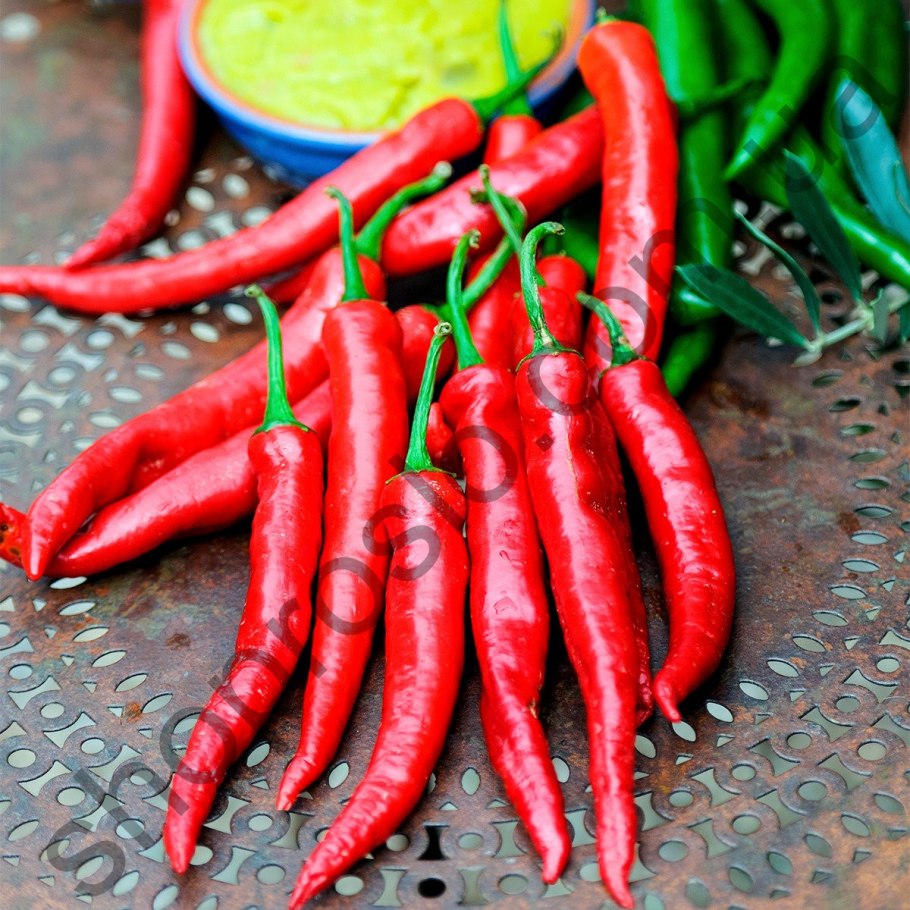 Перец Падрон семена