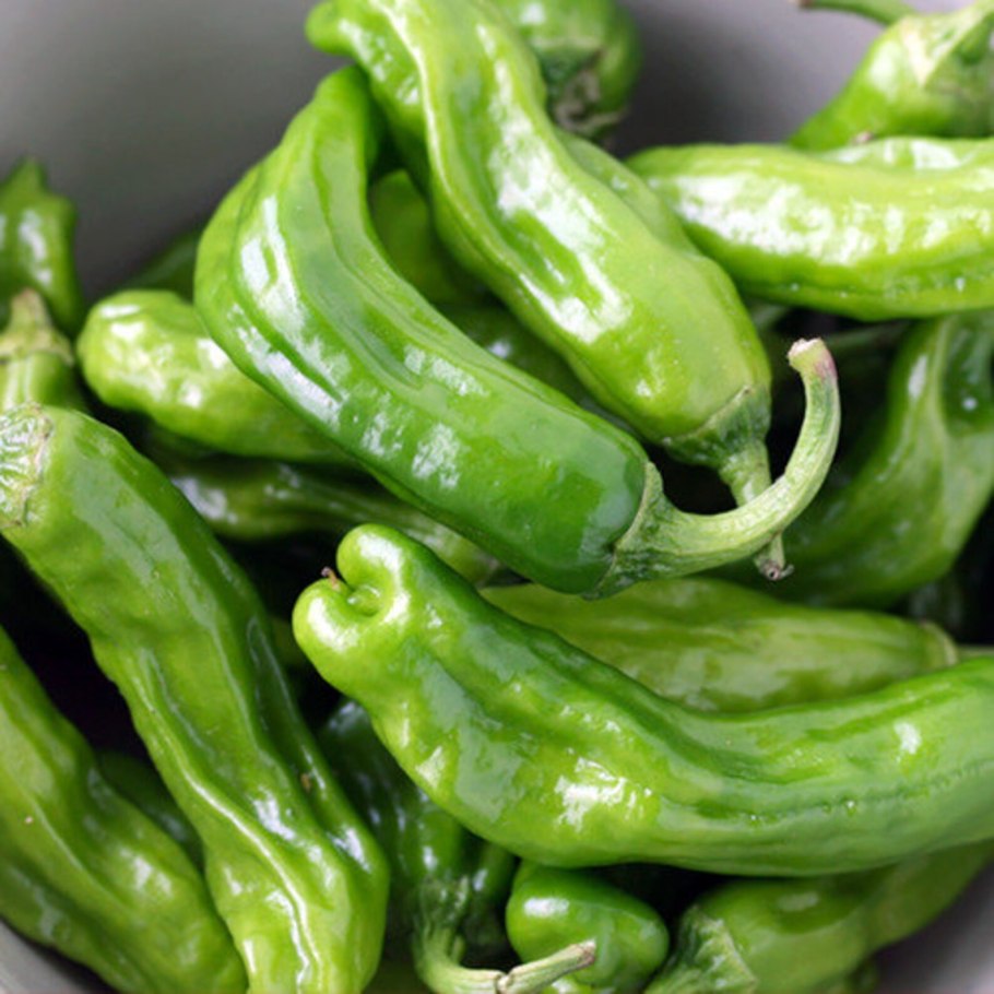 Японский перец растение