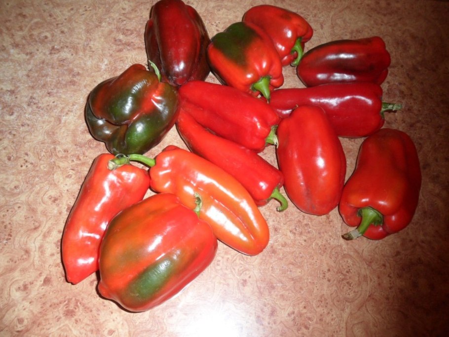 Перец Capsicum плоды