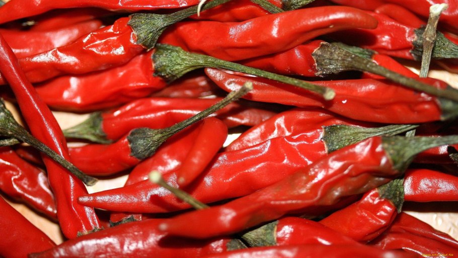 Японский перец растение