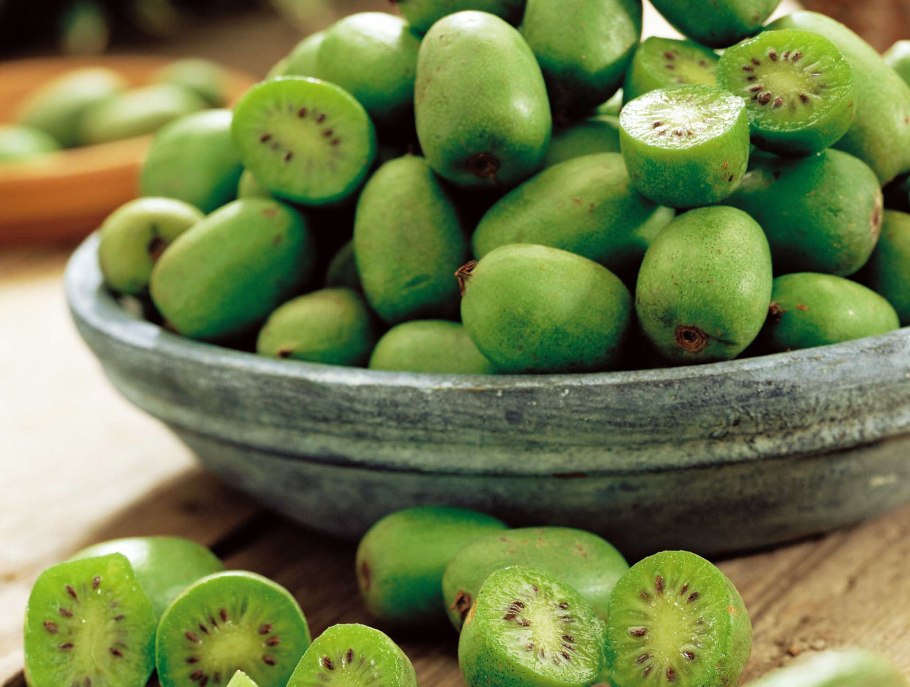 Актинидия цветение