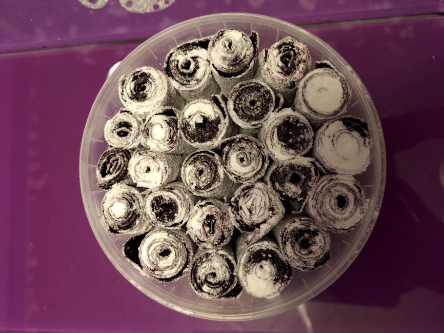 Крыжовник макирайнес