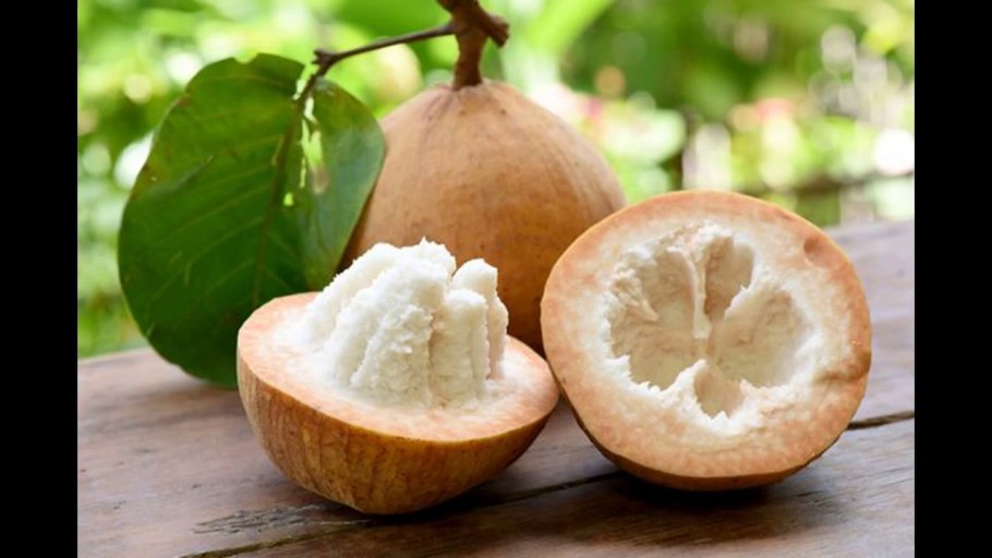 Фрукт Тайланда Сантол