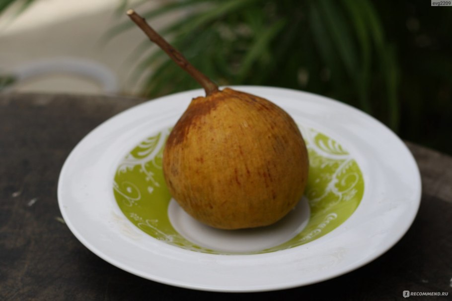 Santol Сицилийский
