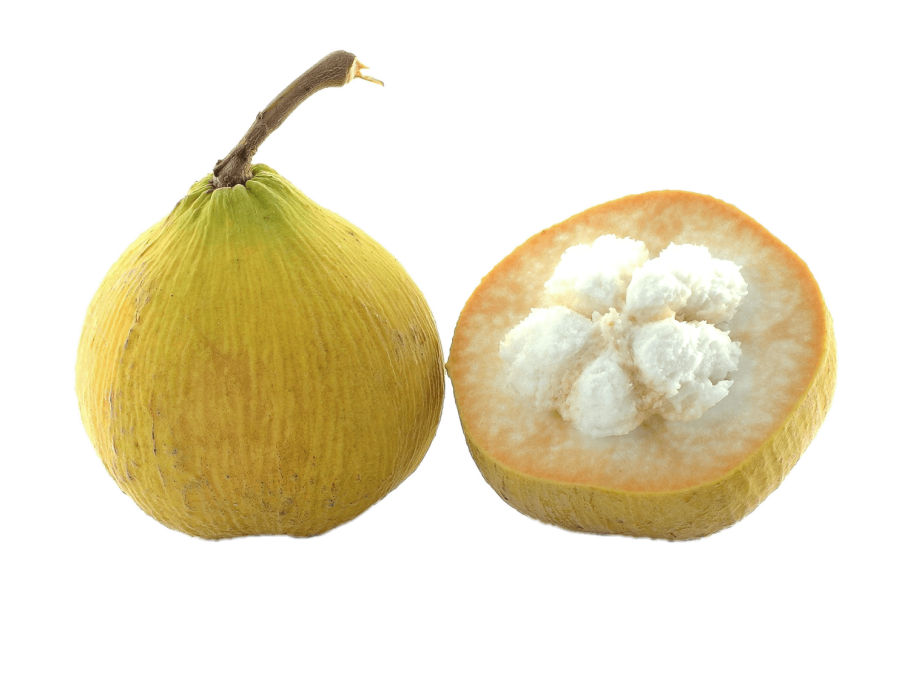 Сантол фрукт фото