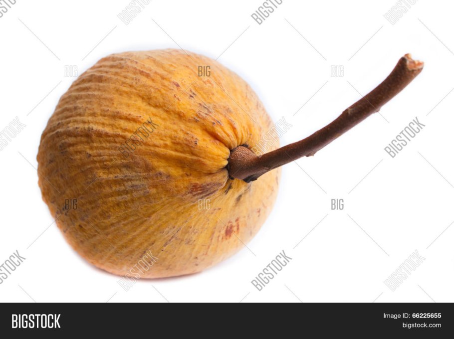 Сантол капли