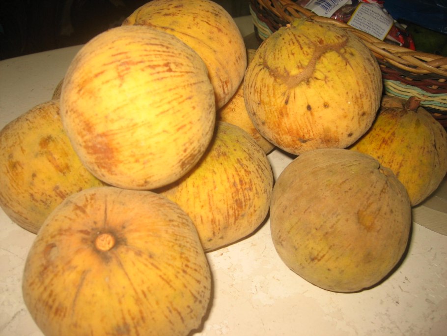 Сантол фото