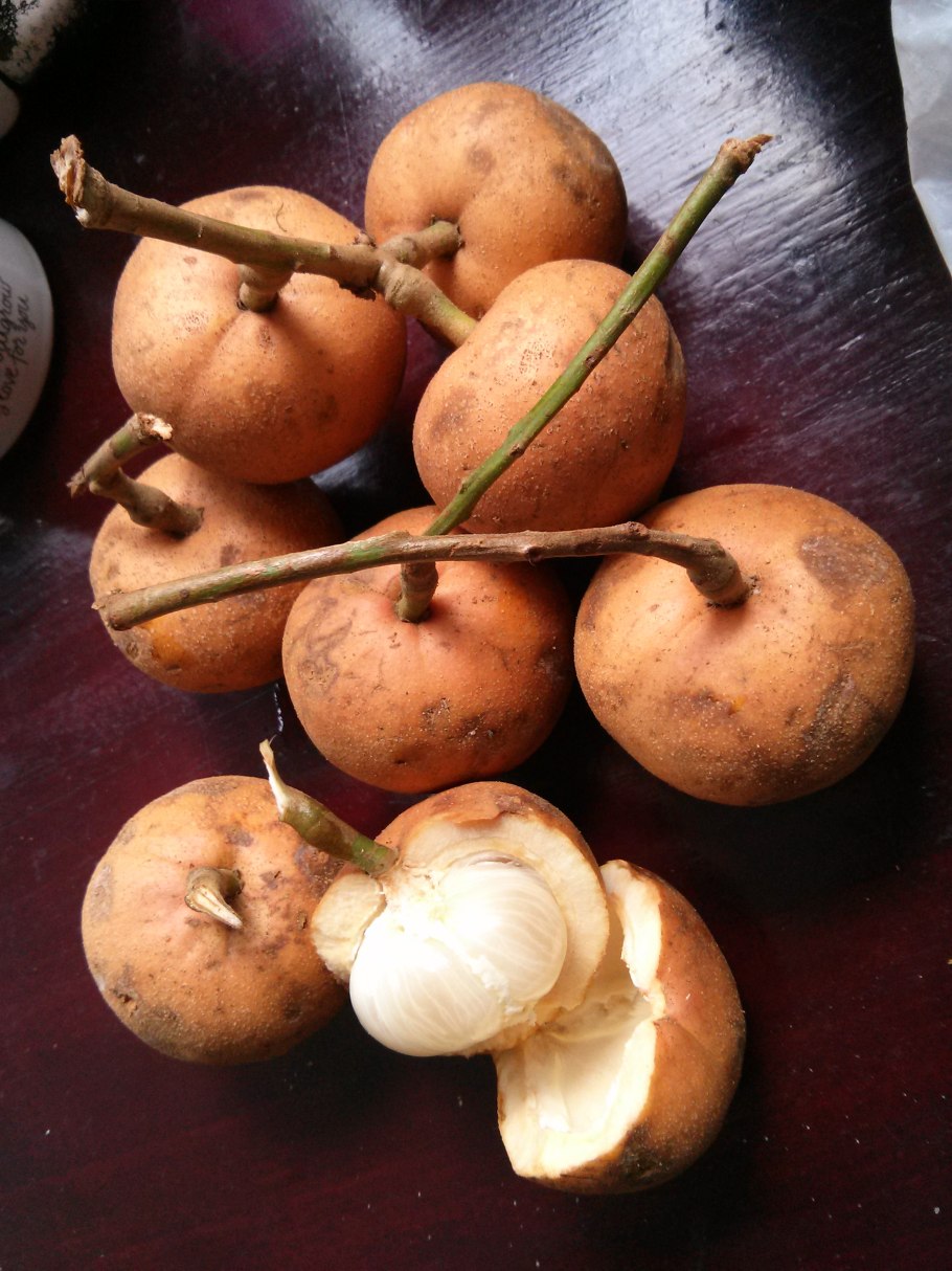 Сантол фрукт