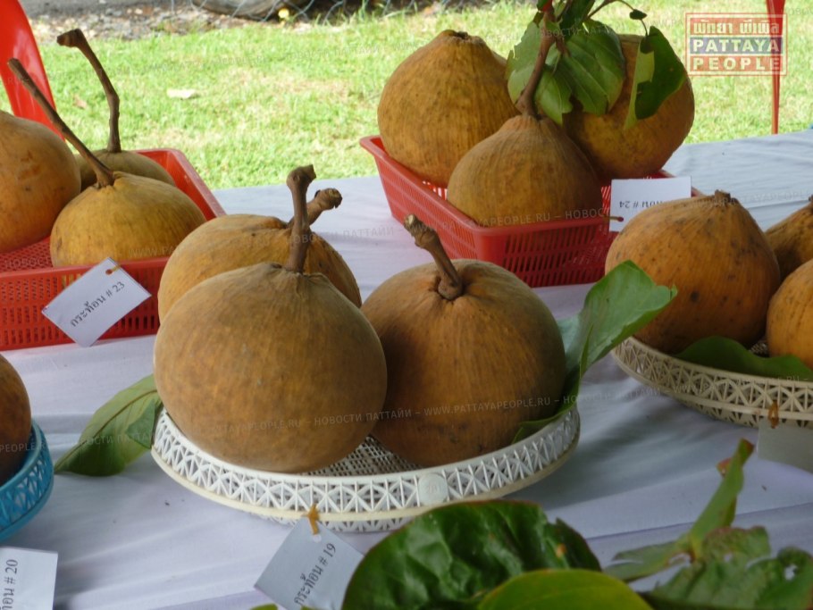 Сантол фрукт Египет