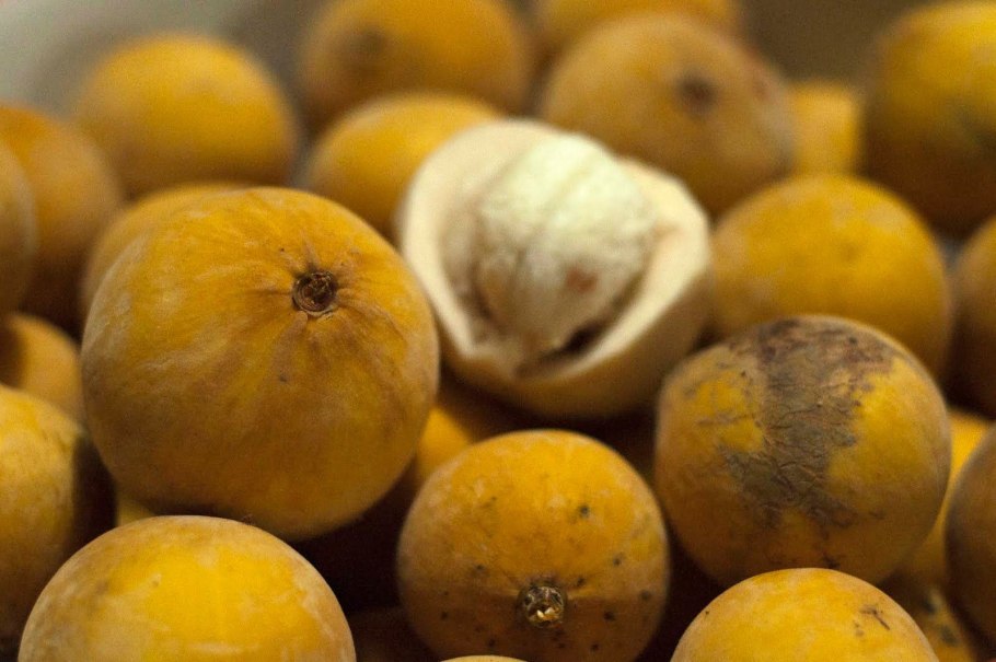 Фрукт Тайланда Сантол