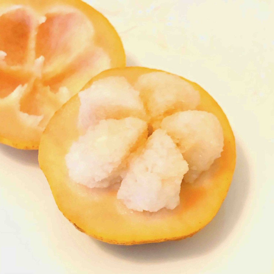 Сантол фрукт