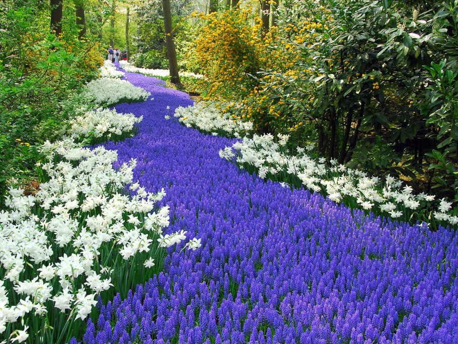 Бабочка Грета ото