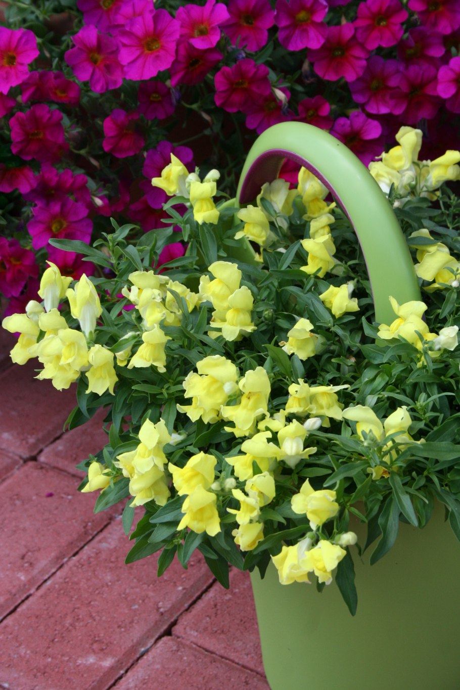 Магия желтого цвета