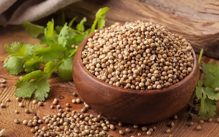 Мед из кориандра