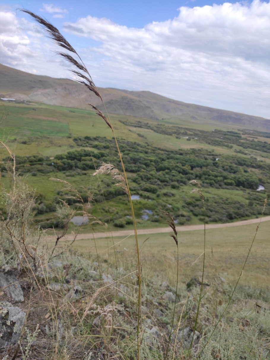 Фотографии пейзажного этюда рассвет