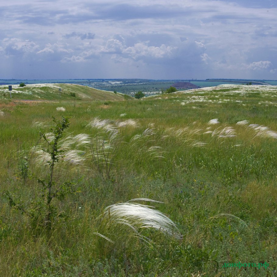 Сальские степи земля донских Казаков