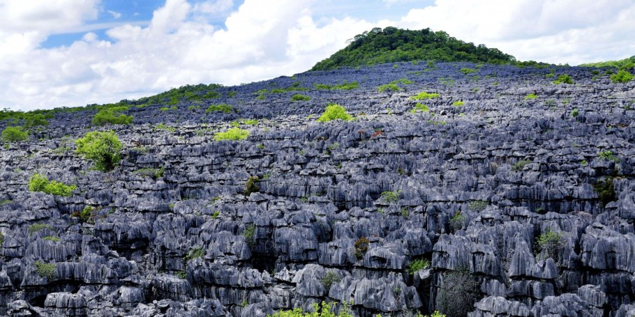 Мадагаскар национальный парк
