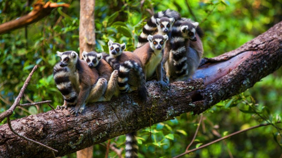 Национальный парк Изало Мадагаскар