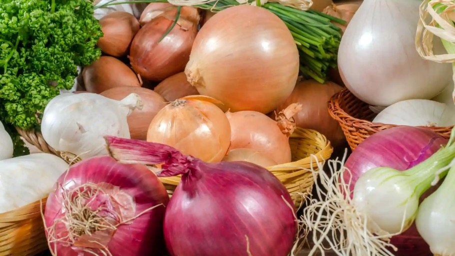 Лук репчатый красивый