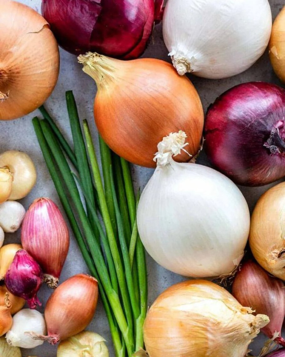 Leek лук порей