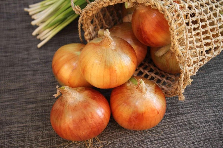 Лук (репчатый, шалот, порей, шнитт-лук, порей)