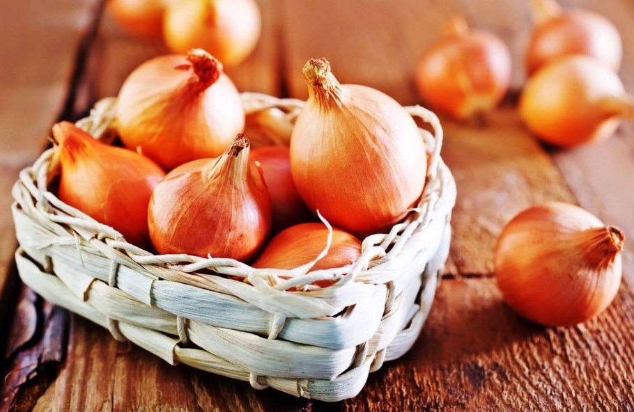 Лук шалот красный