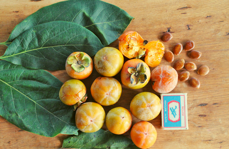 Хурма виргинская крупноплодная