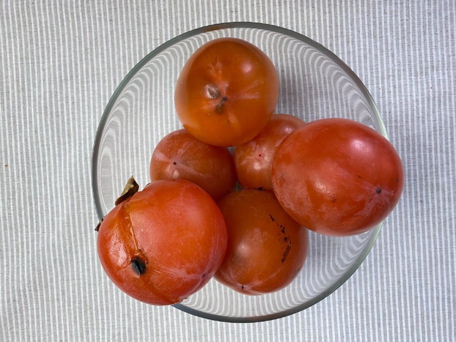 Хурма Северная виргинская