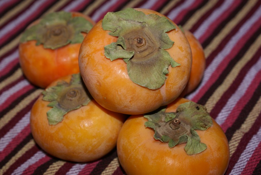 Хурма виргинская (Diospyros virginiana)