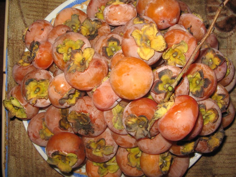 Хурма виргинская крупноплодная