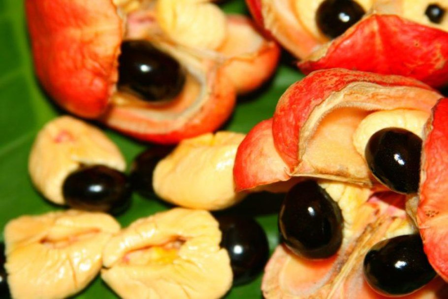 Редкие фрукты