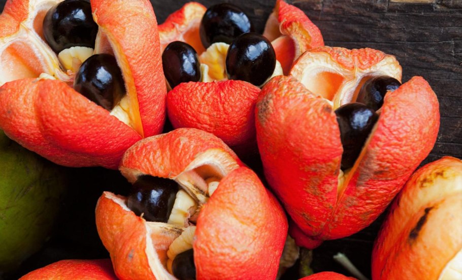 Блигия дерево