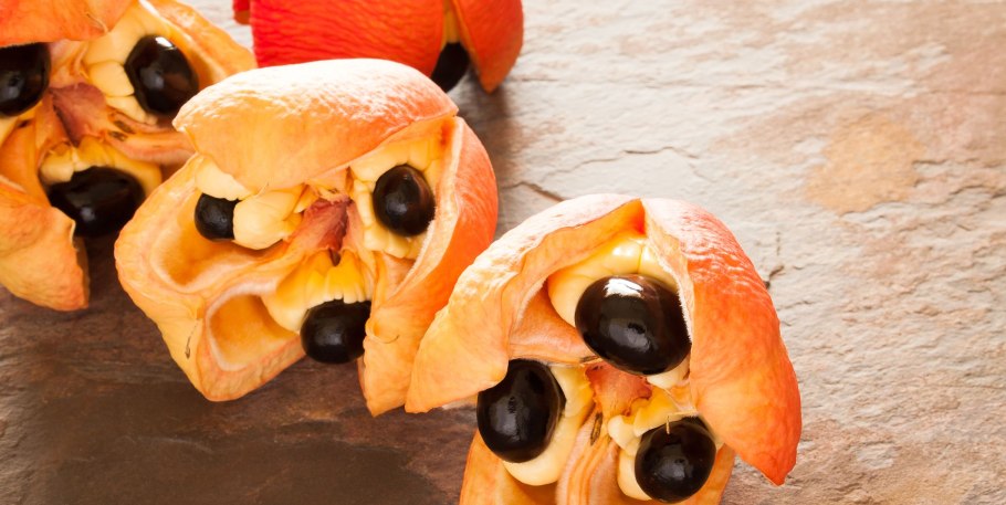 Ямайский фрукт аки