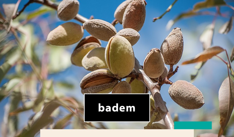 Миндаль жареный