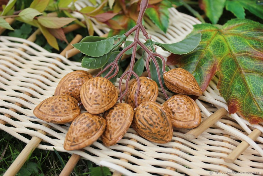 Миндаль Никитский 62