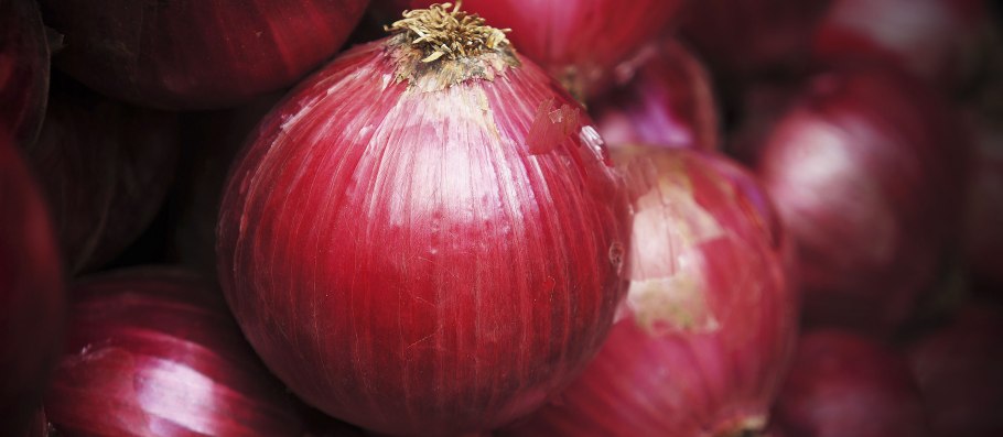 Бульбинелла узколистная