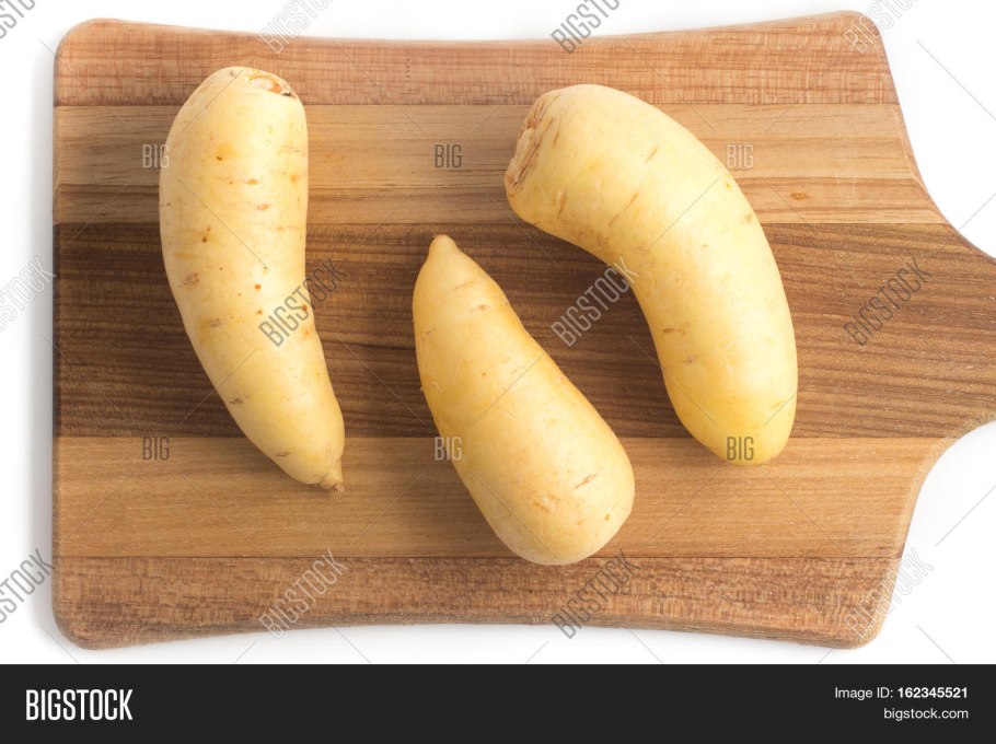 Моховик гриб на болоте