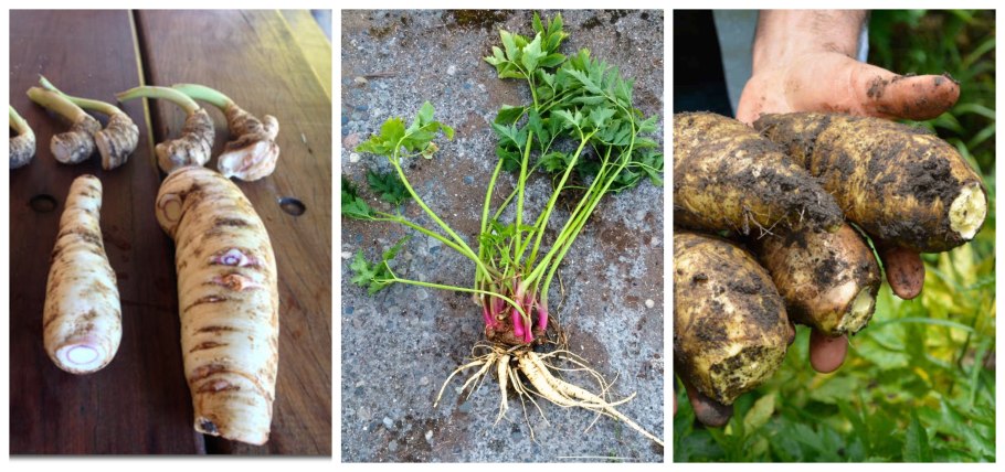 Арракача интересные факты