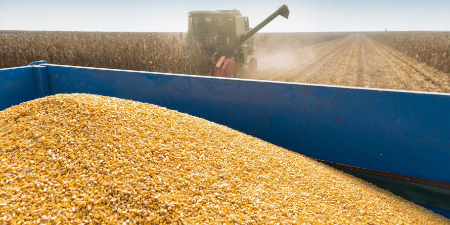 1 Тонна зерна фото