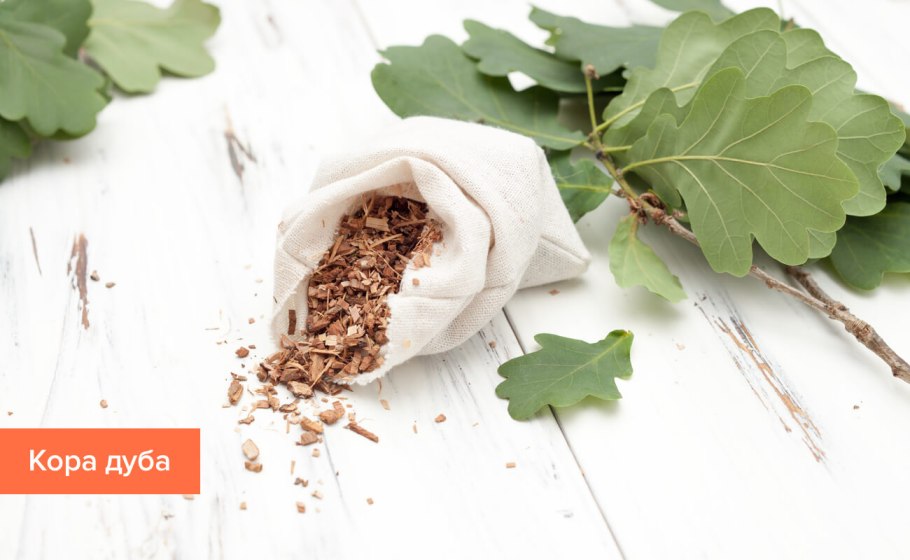 Бородавчатая кора дерева