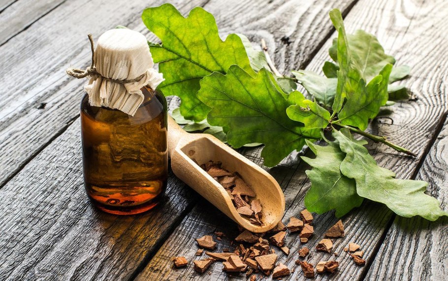 Дубовая кора