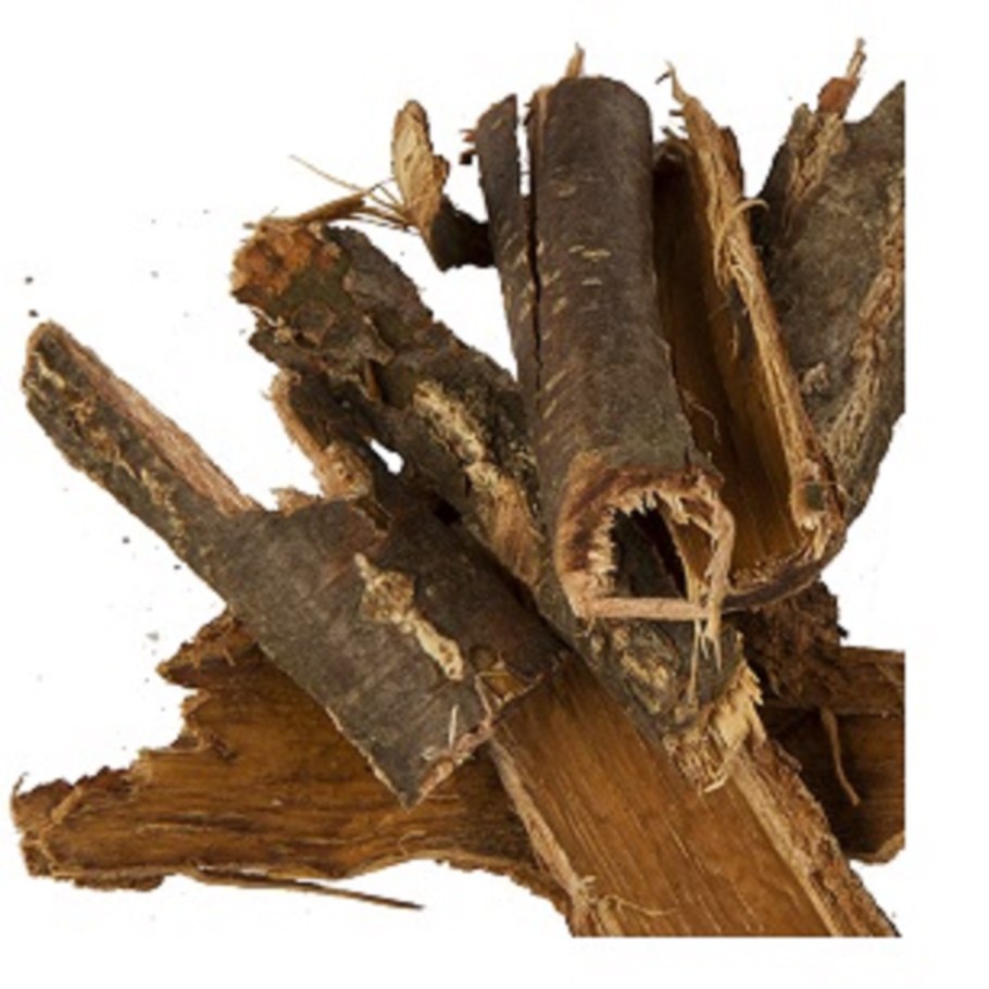 Дуб черешчатый кора