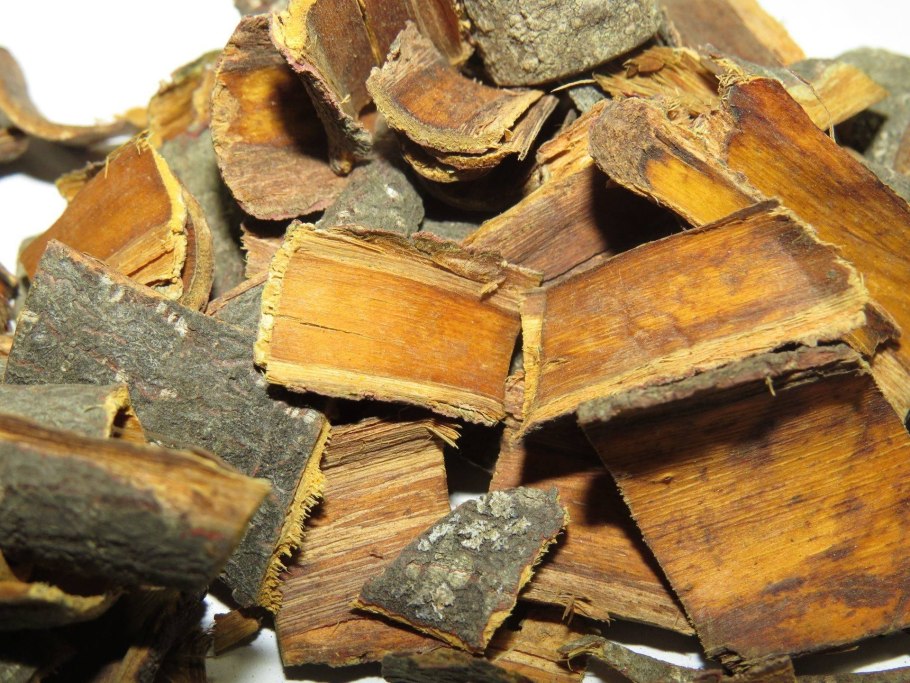 Дуб кора дуба